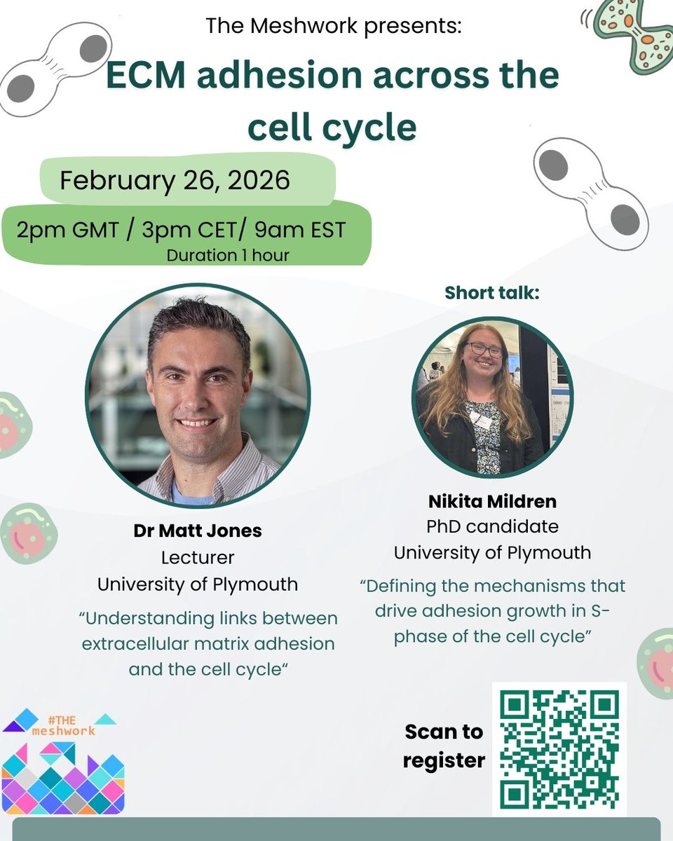 THEmeshwork tweet media