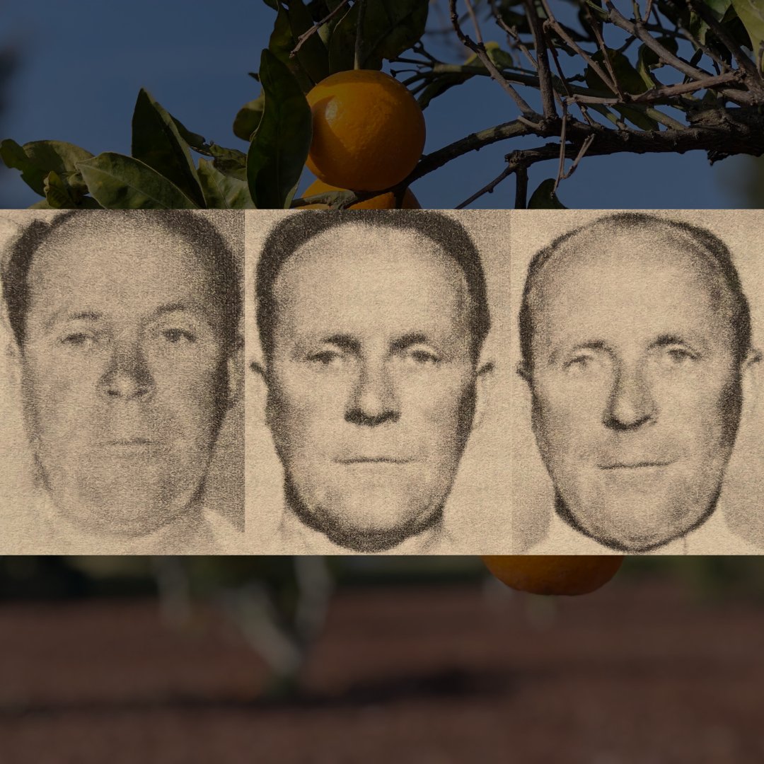 Master Metabolism tweet media