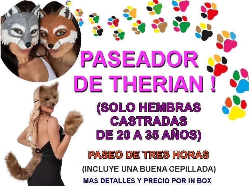 El tema de los #Therian se esta saliendo de control 😅😅😅