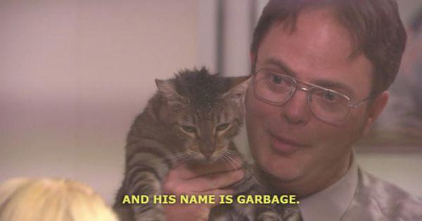 Summarize #mewgenics without any spoilers !
#TheOffice