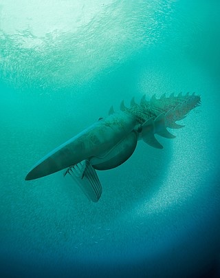 Creature enthusiast (@Gourmetcrayola) / Posts / X