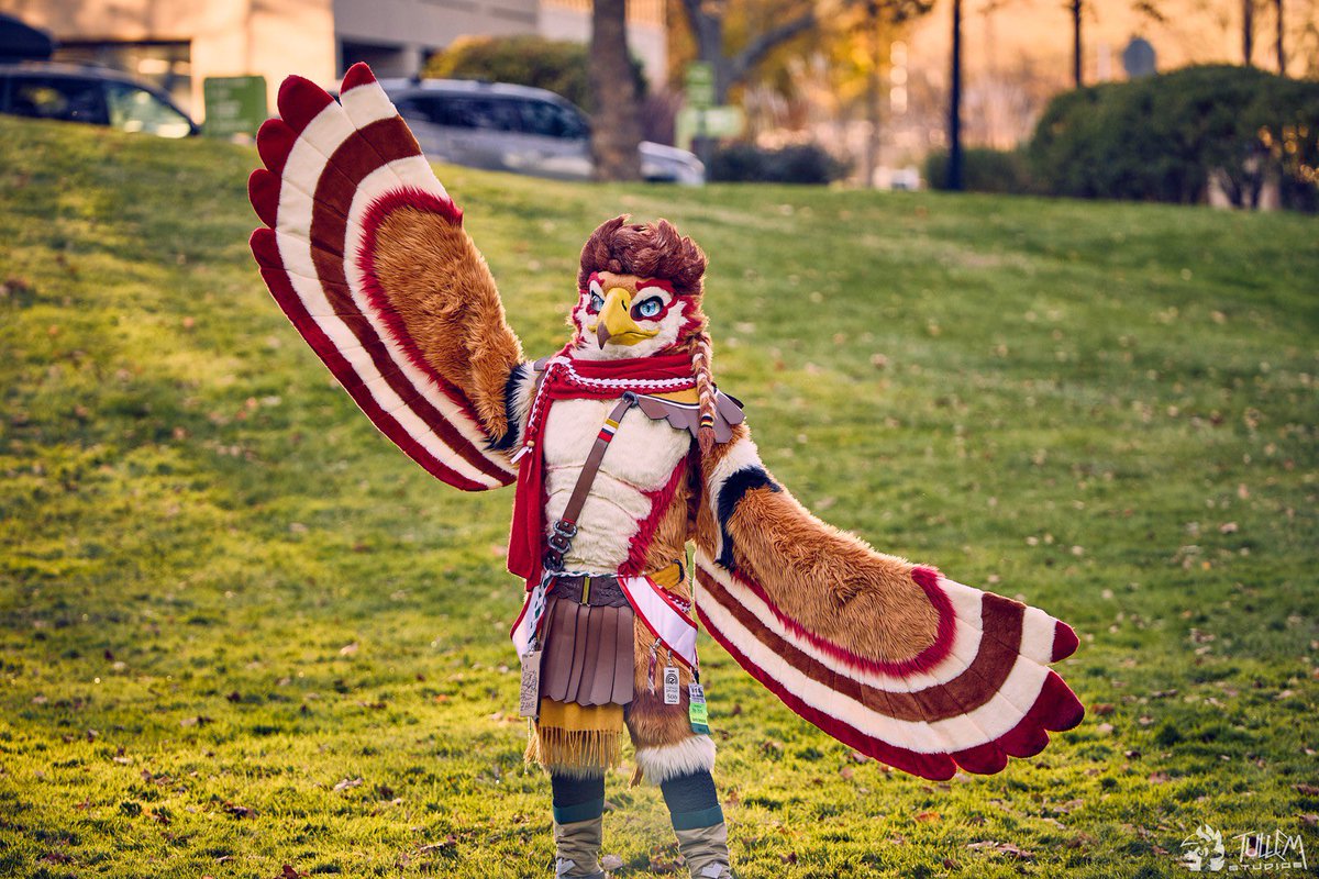 Champion Zane🪽🔜 TFF, FURG, FWA tweet media