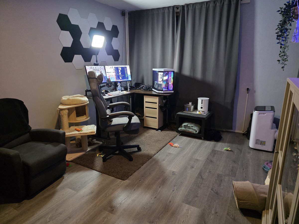 Byakko Howaito ☯︎⛩️ tweet media