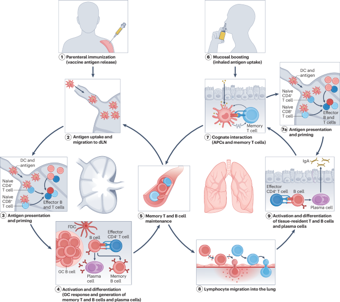 Waggoner Lab tweet media