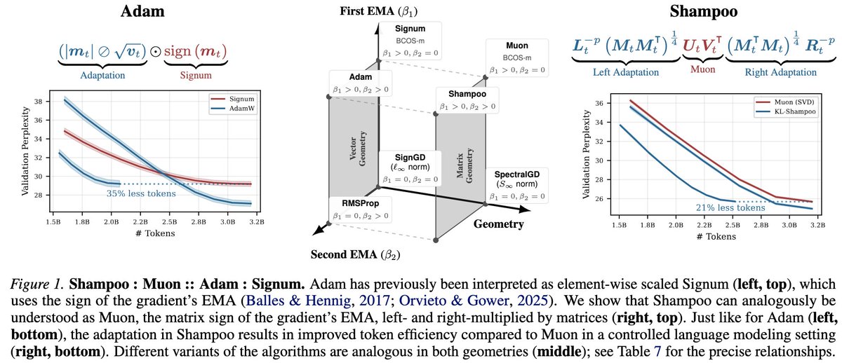 Runa Eschenhagen tweet media