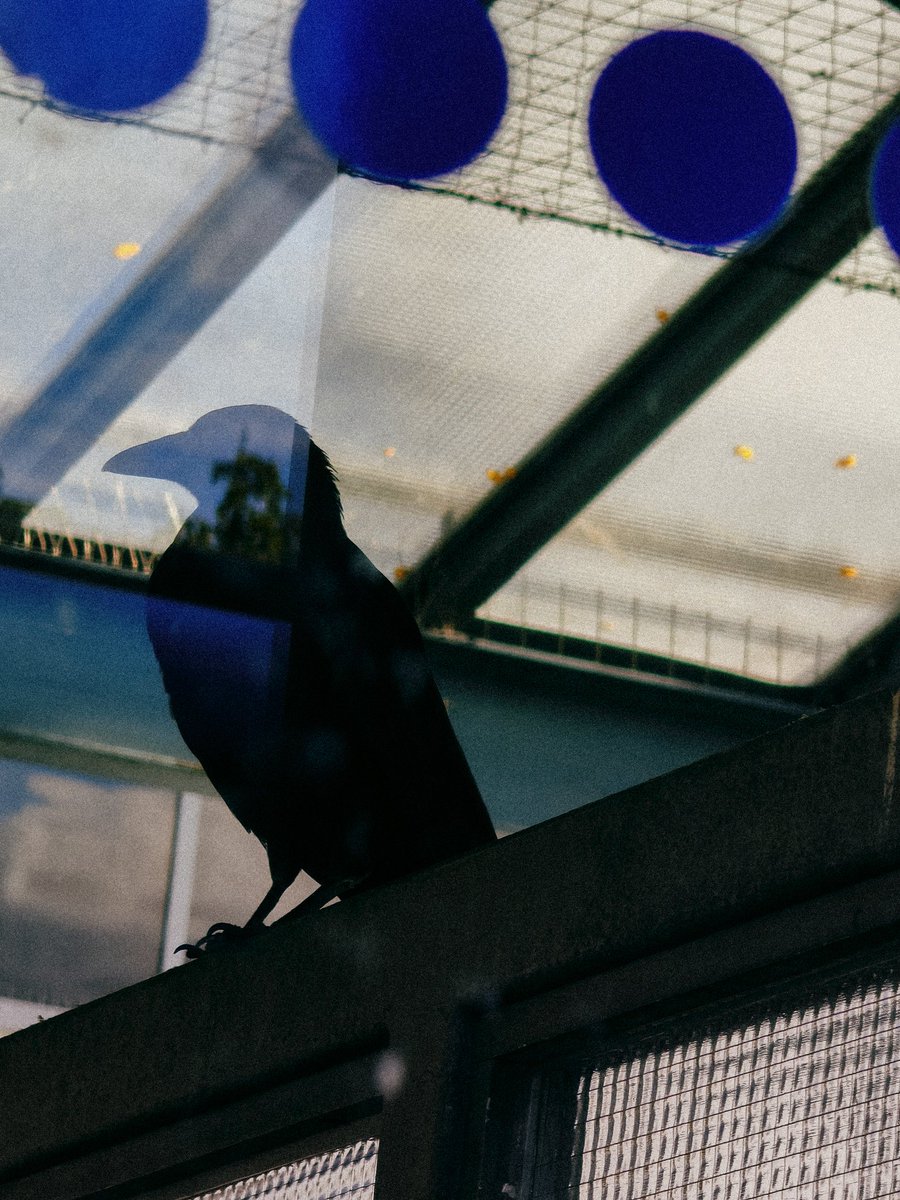 Jonathan Bertin tweet media