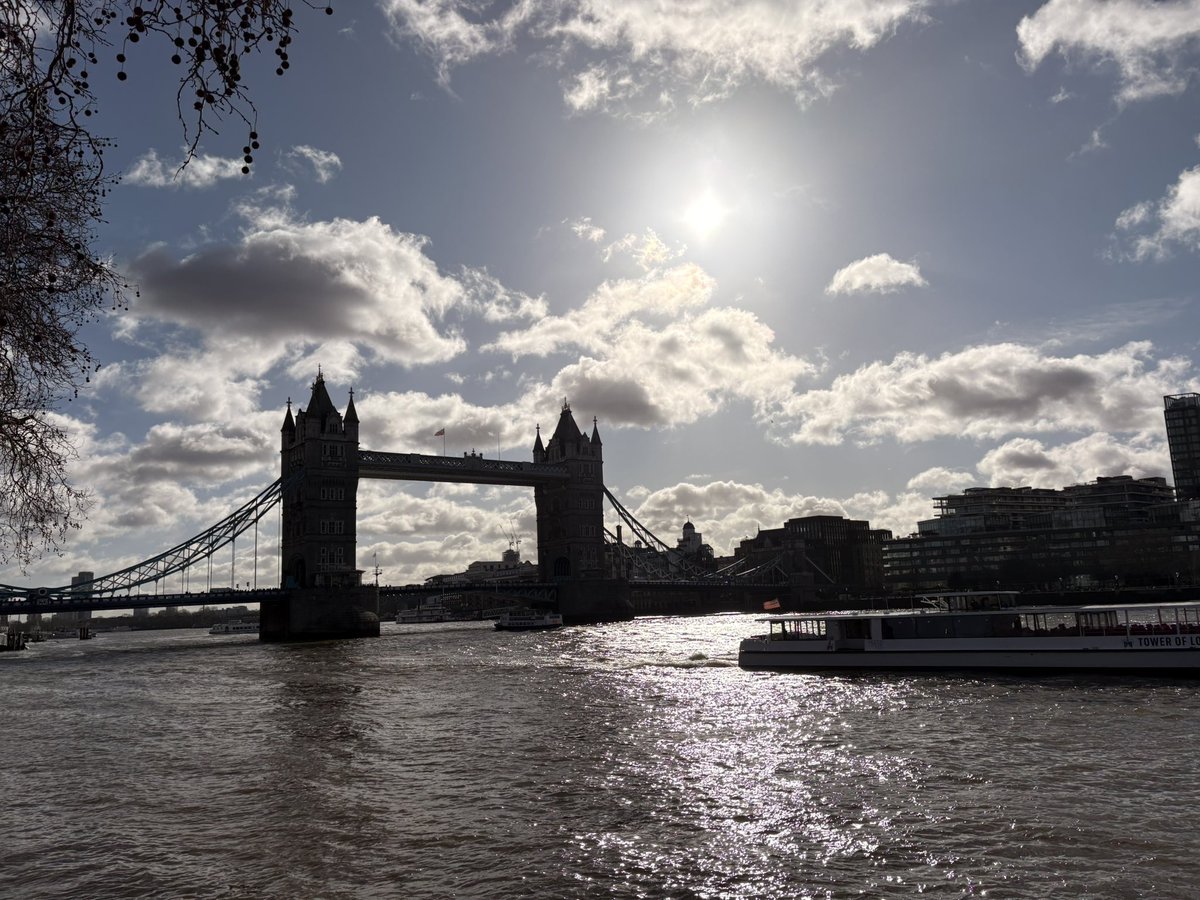 LucasXing tweet media