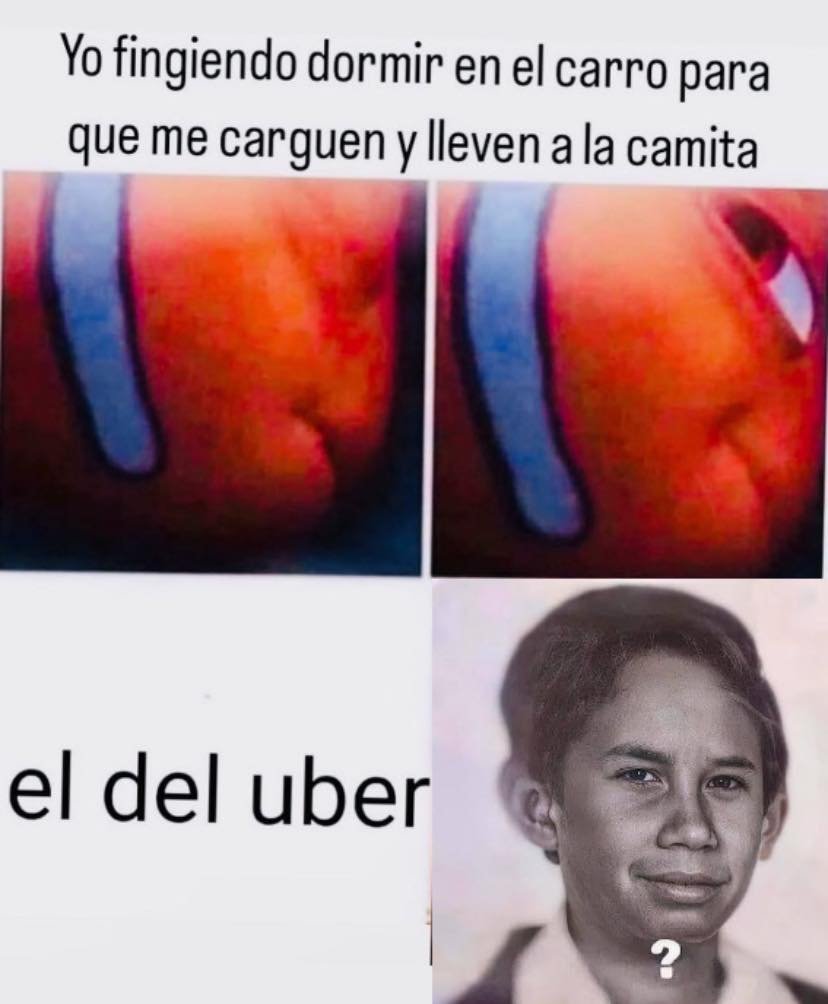 🇲🇽 México Mágico ✨ tweet media