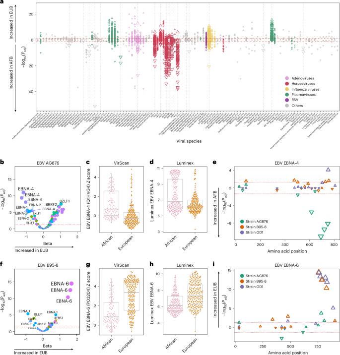 LabWaggoner's tweet photo. Demographic and genetic factors shape the epitope specificity of the human antibody repertoire against viruses @NatImmunol @QuintanaMurci #Olin
@EtiennePatin @LabExMI @institutpasteur @cdf1530
@CNRS
https://t.co/k6qaMhaRGu https://t.co/Hz6VuI1lIE