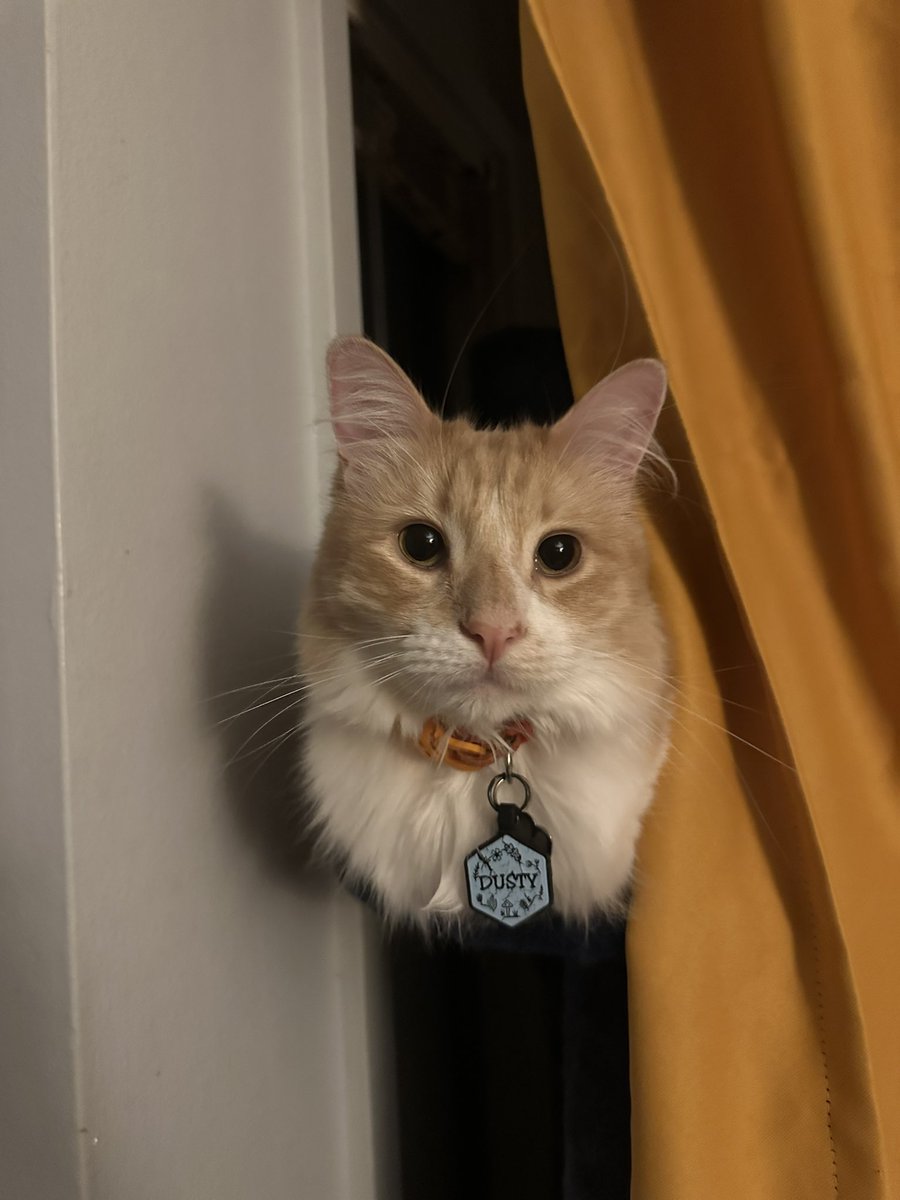 Mx.Cook🇵🇸 tweet media