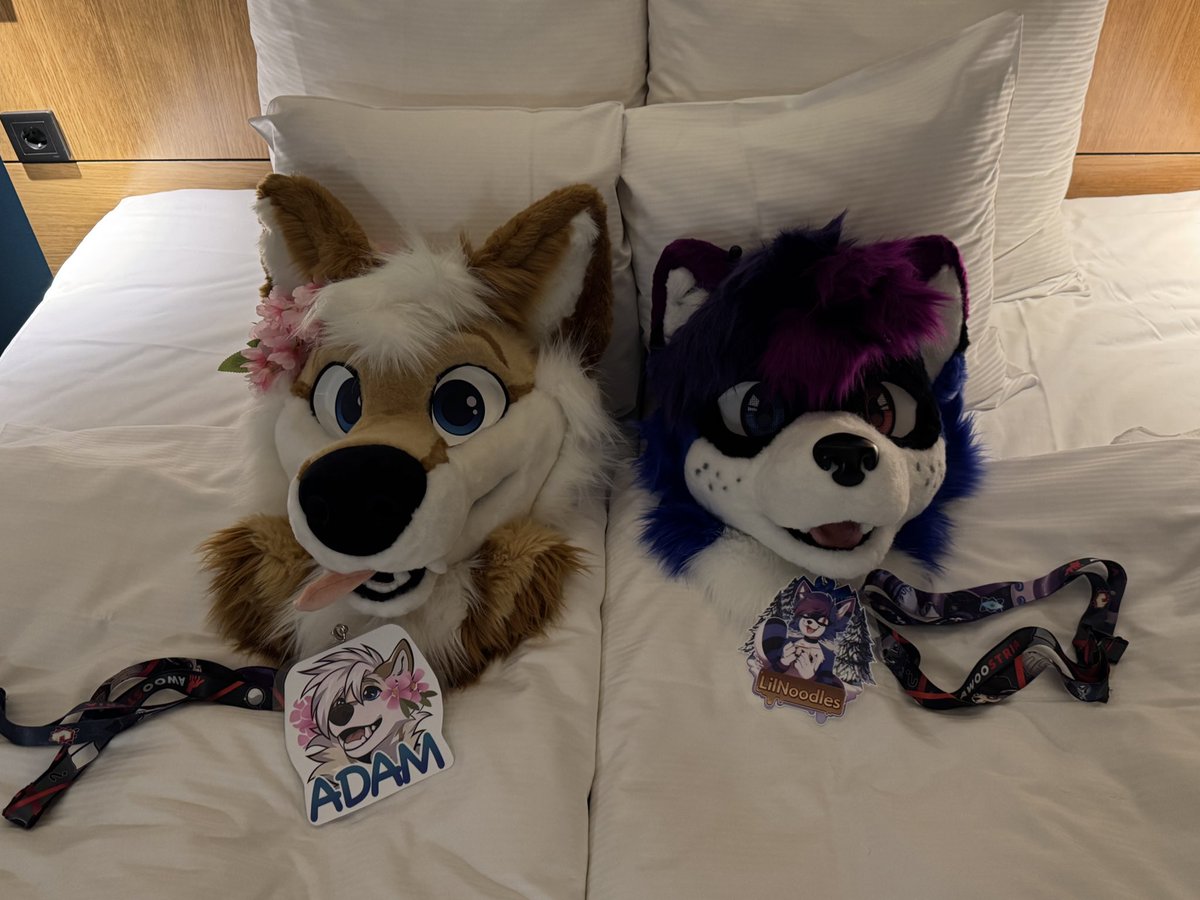 Arrived at #NFC 👀

With <a href="/snowyboiadam/">Adam The Snow Wolf 🐺❄️🇺🇦</a>