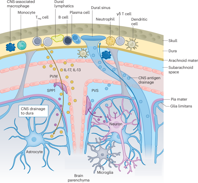 Waggoner Lab tweet media