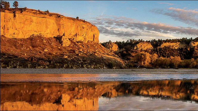 Nick Voorhees tweet media