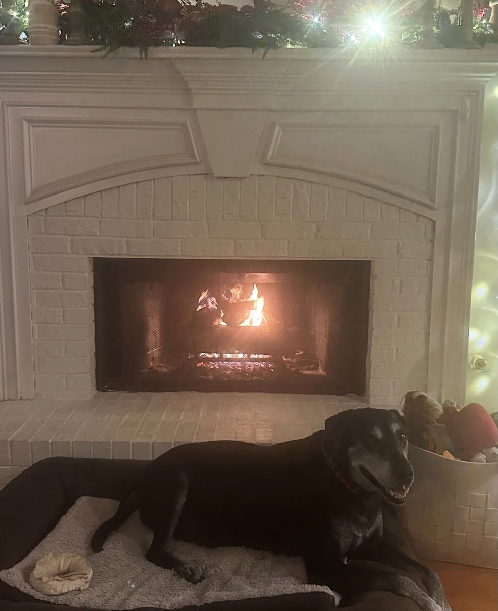 Kylie Jane Kremer tweet media