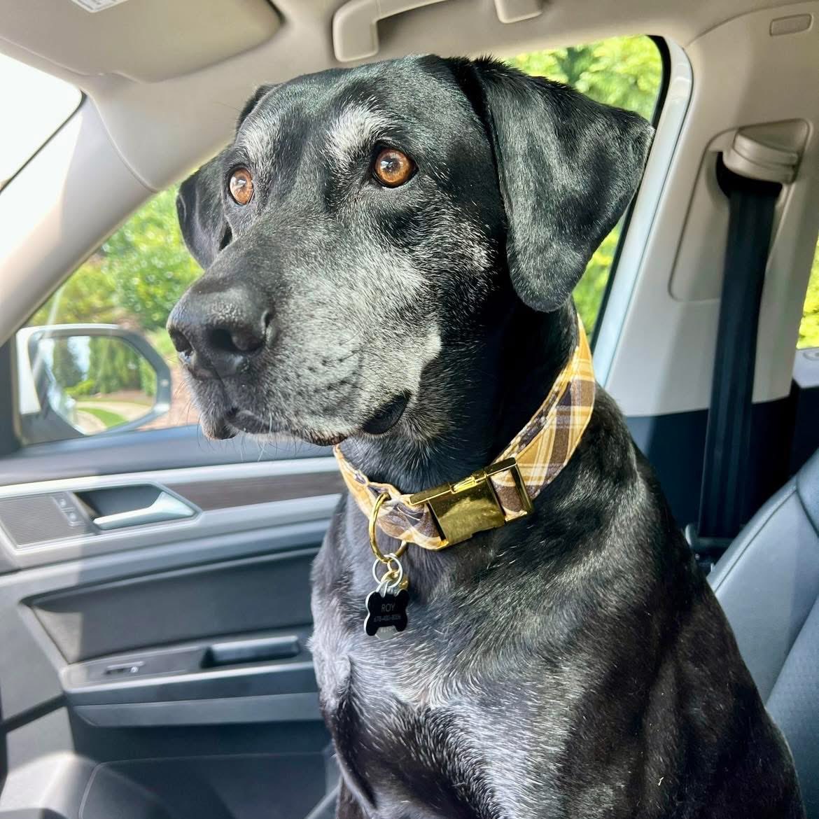 Kylie Jane Kremer tweet media