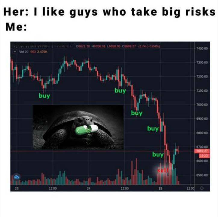 Buying every dip of $Ferociter like it’s a personality trait