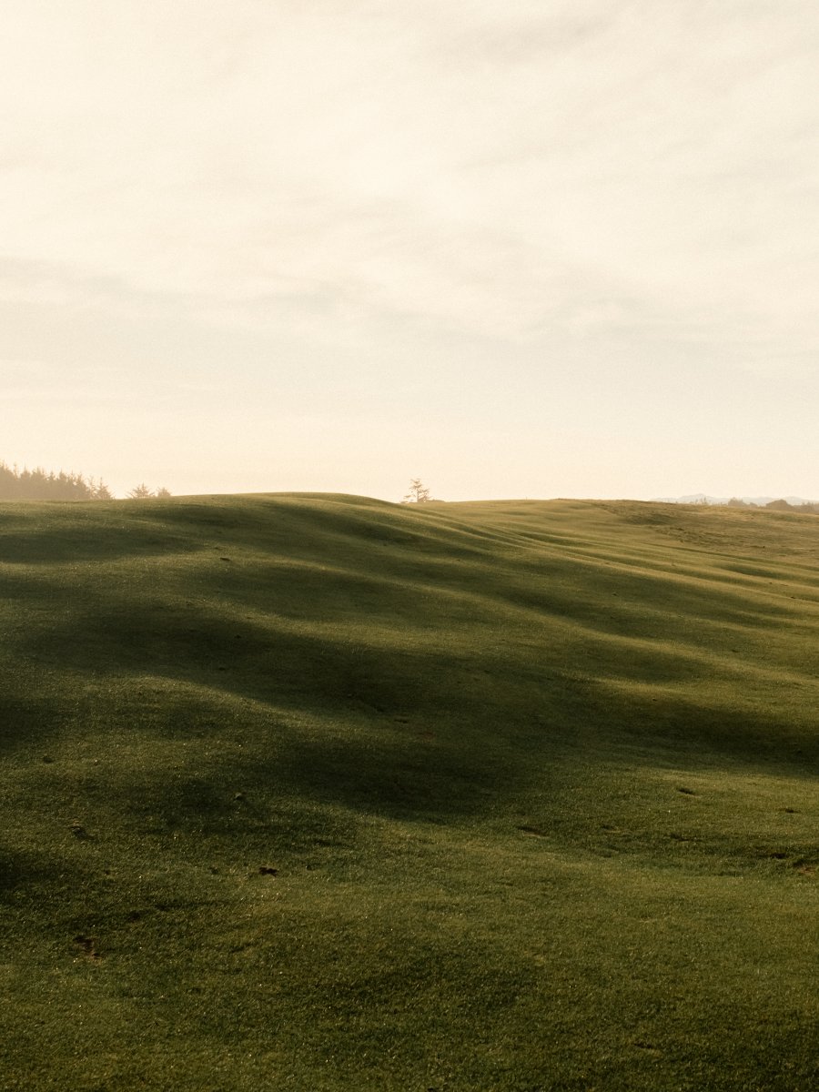 Wilson Golf tweet media