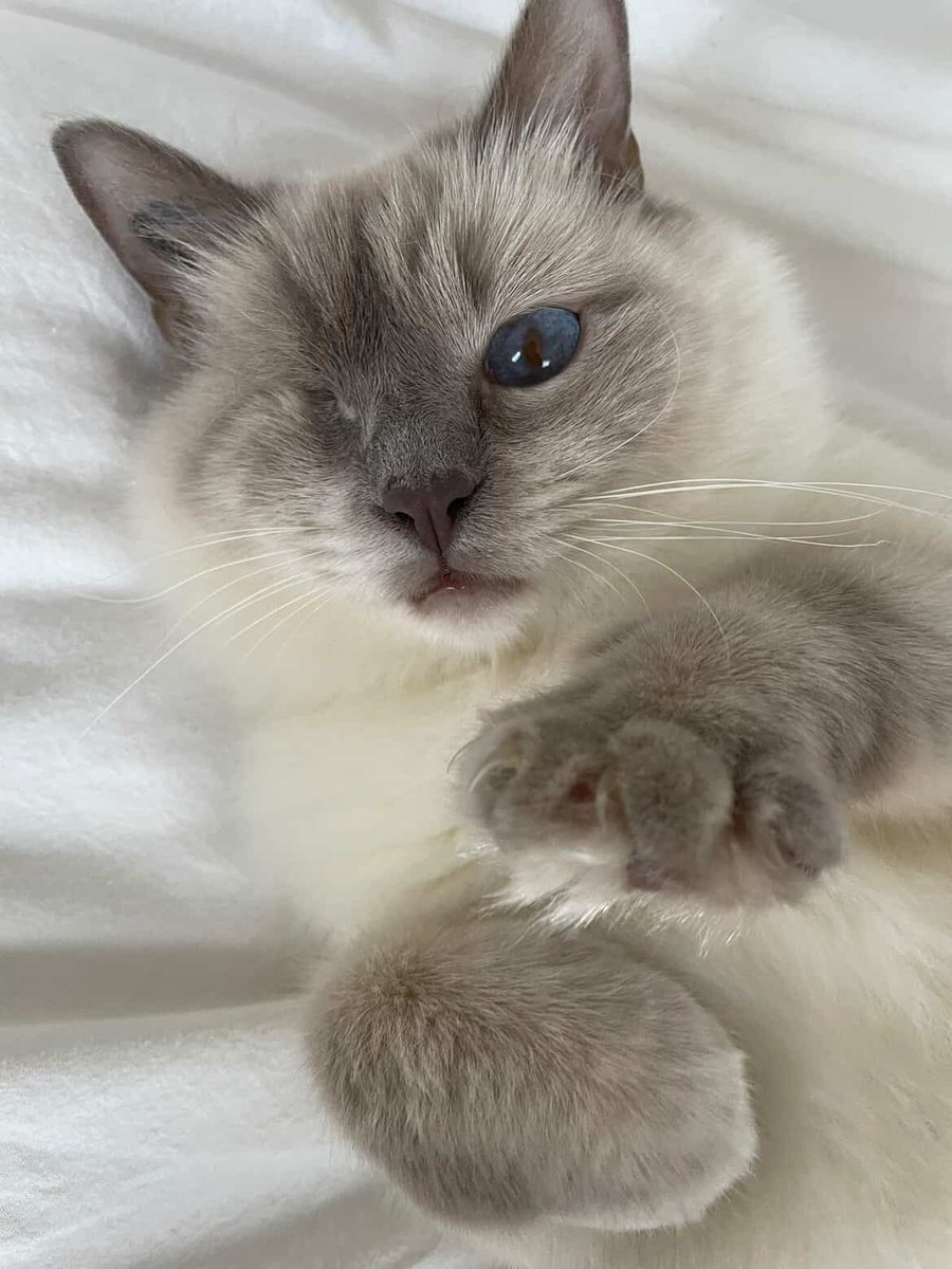 Bonne soirée ampoule 💅