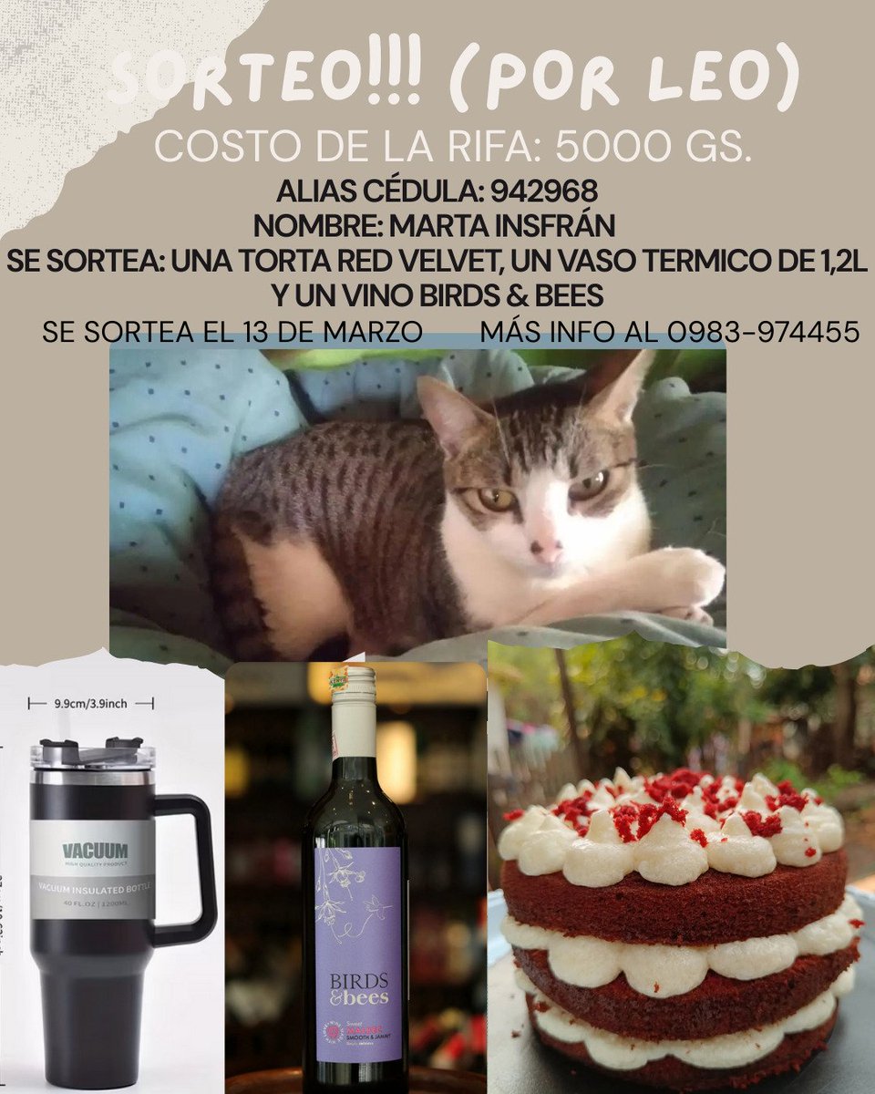 Mba'e piko tweet media