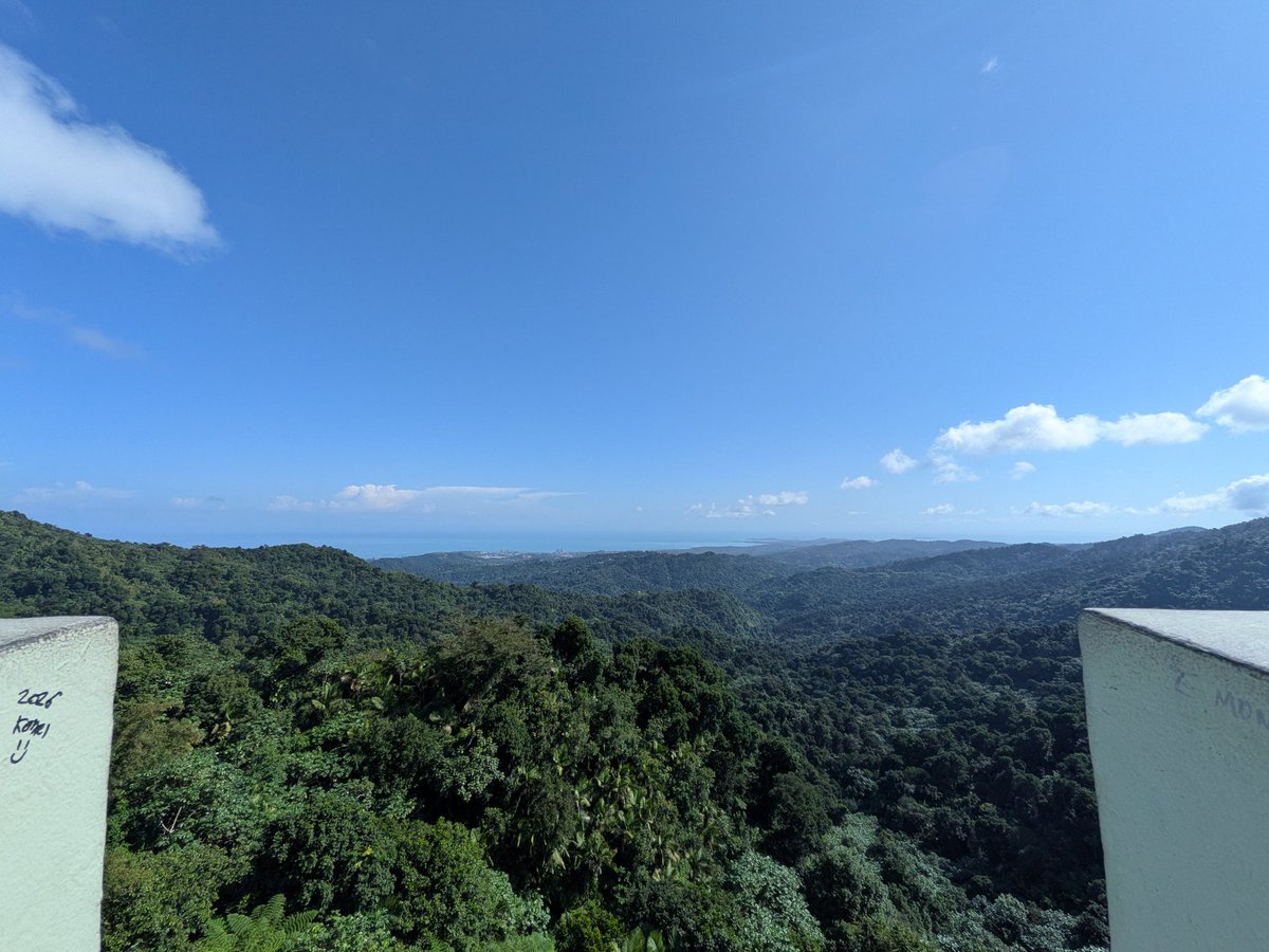 Shanti Pinto, MD, MSCS tweet media