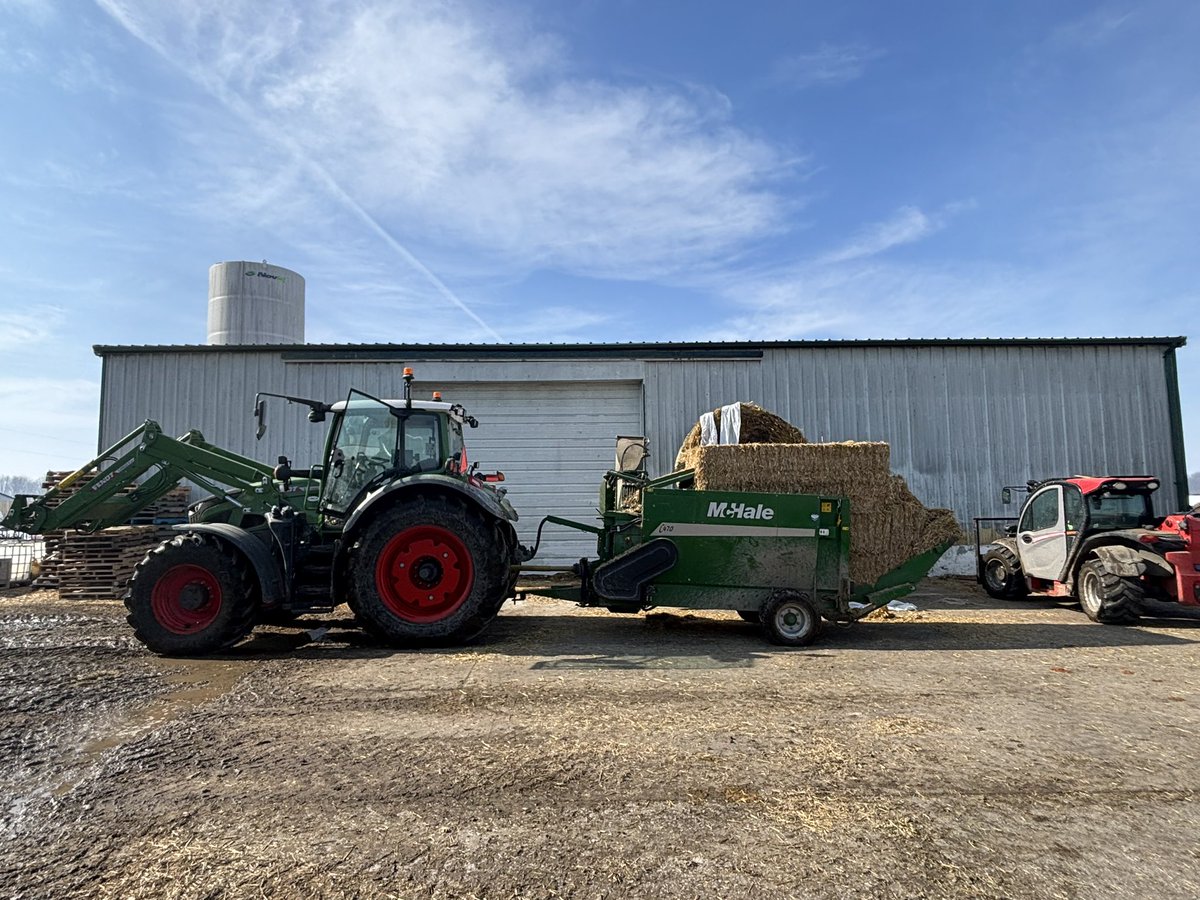 Josh Butler tweet media