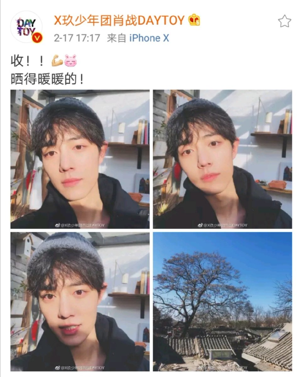 20190217 X玖少年团肖战DAYTOY 收! ! 💪🐰 晒得暖暖的! #肖战#肖戦