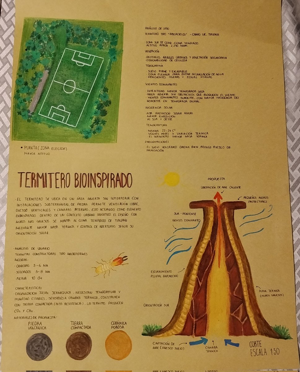 Arquitectura basada en el habitad de los animales. Meliza - Arquitectura ❤️