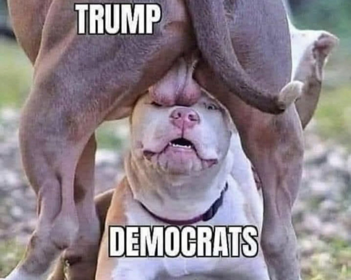 1Nicdar's tweet photo. Happy President Trump’s Day! 

🤣 🤣 🤣 https://t.co/ePpxD807PV