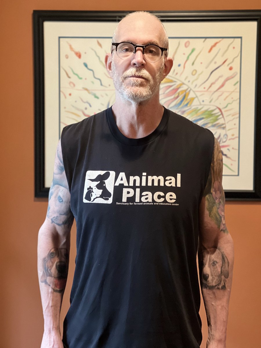 The Thinking Vegan tweet media