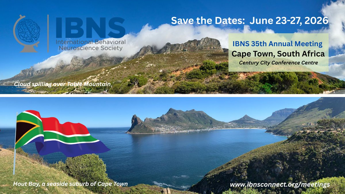 IBNS tweet media