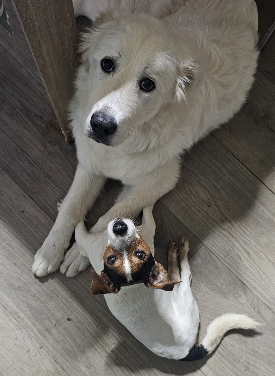 ¿Cuántas emociones se pueden vivir en 3 días?