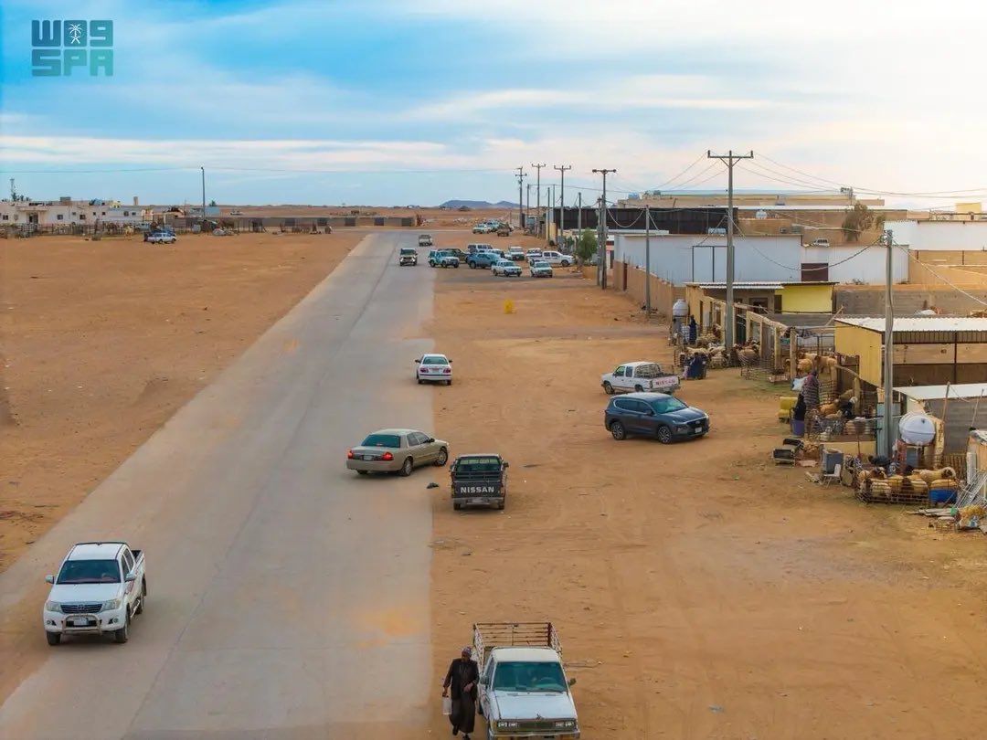 NorthborderSA's tweet image. أسواق الماشية في الحدود الشمالية تشهد نشاطًا متزايدًا مع قرب شهر #رمضان .

spa.gov.sa/N2513880