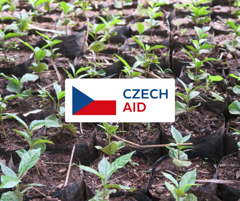 CzechAid tweet media