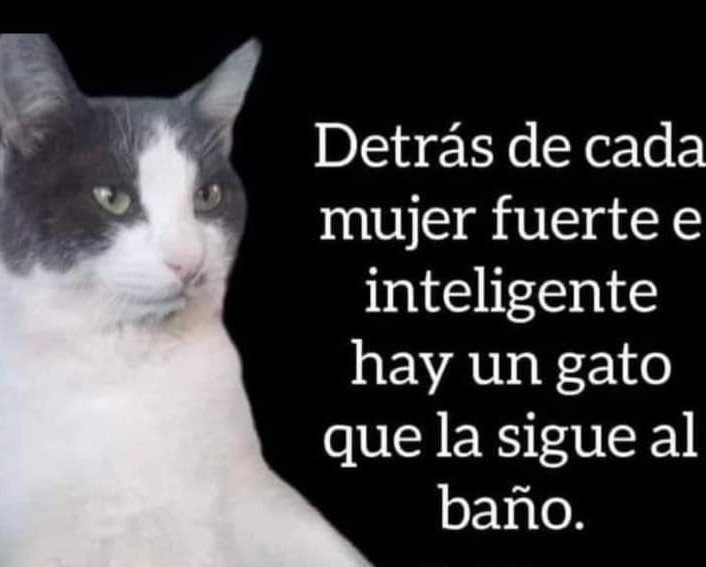 Pkittass (@pkittass) on Twitter photo 