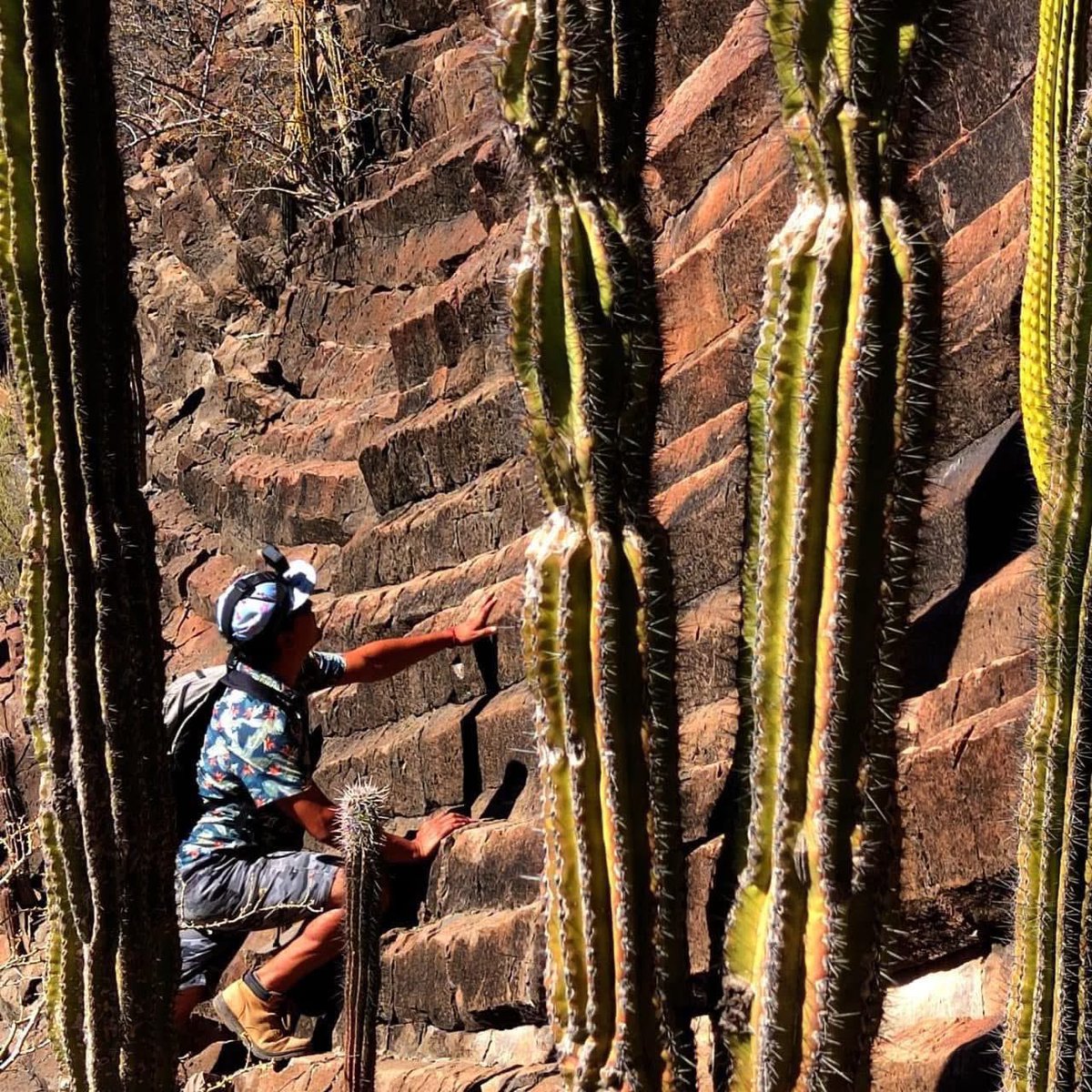 Secretaría de Turismo y Economía de BCS tweet media