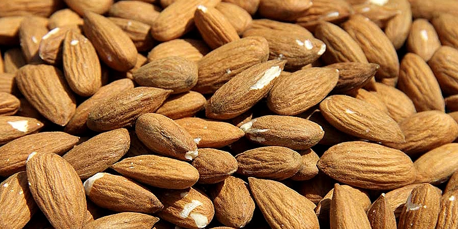 info@ergogenics.org tweet media