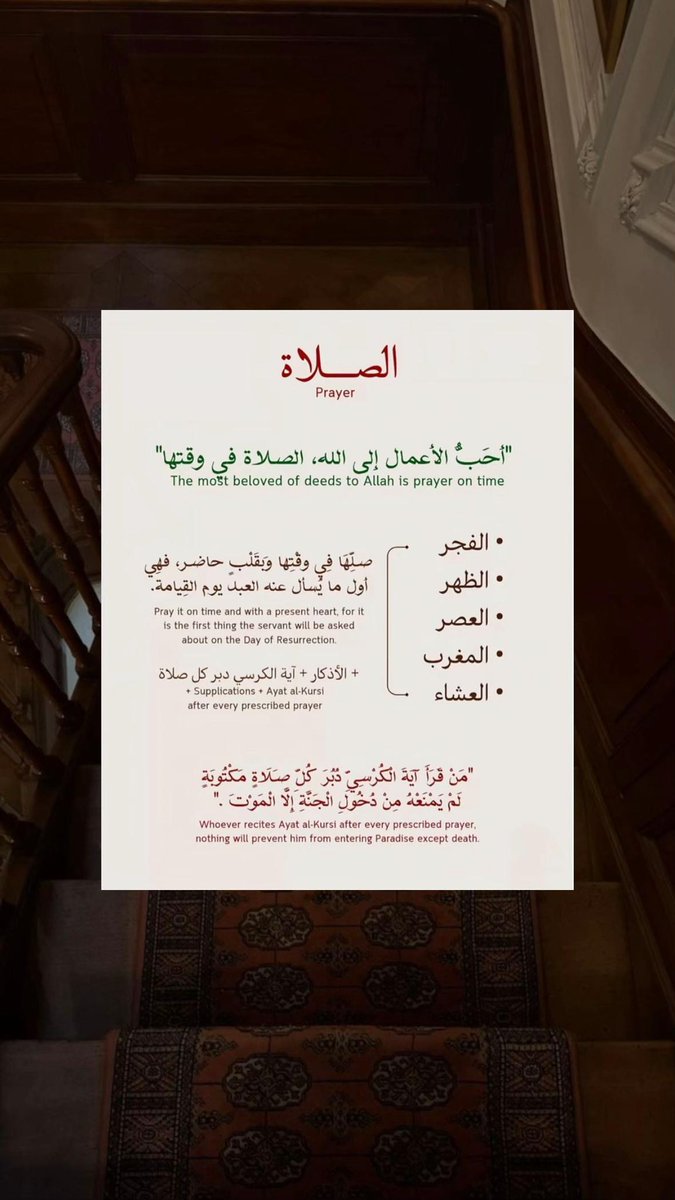 مُزدانَةْ tweet media