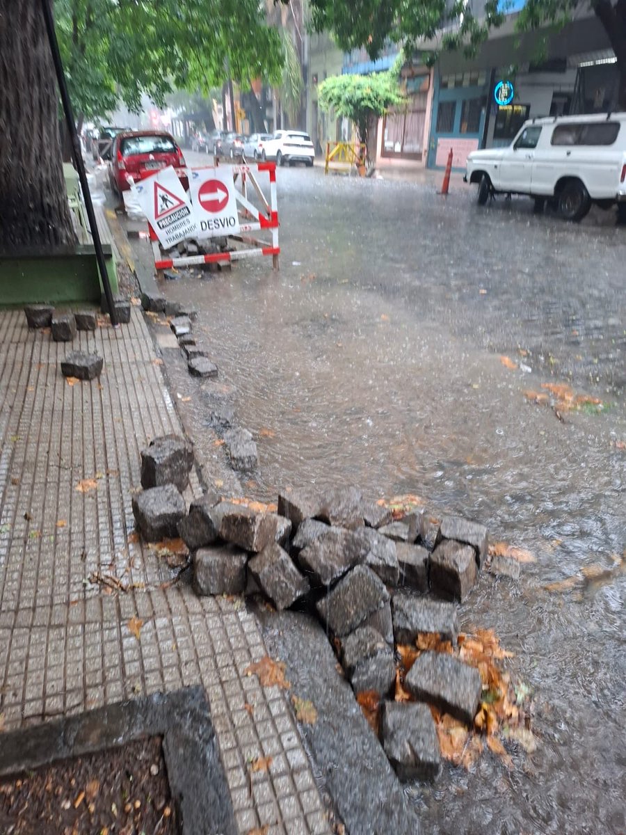 ramacai97's tweet photo. @jorgemacri  @gcba  hace más de un mes arrancaron a cambiar los adoquines de la calle Costa Rica 4800. Hace más de 15 días no vienen.  Hace dos semanas nos dijieron que se los llevaban. Seguimos esperando…. https://t.co/Igaz6BDzLd