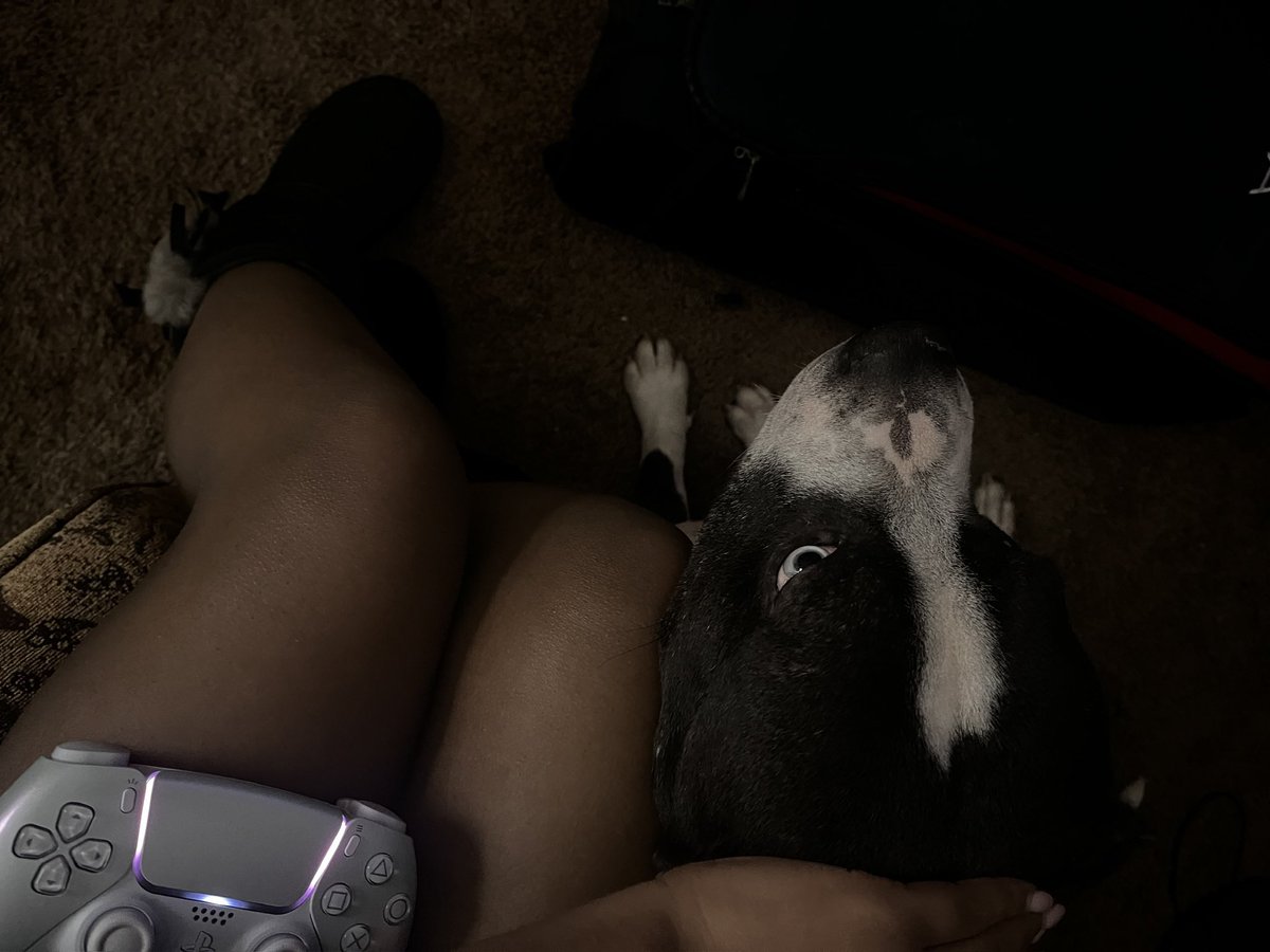 fallenvixora's tweet image. missing my dog so much:( college is too demanding