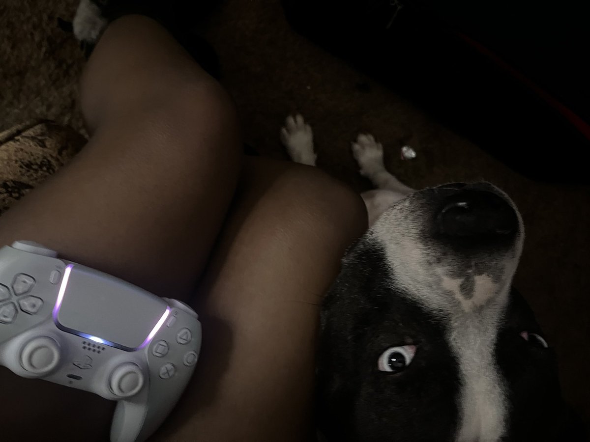 fallenvixora's tweet image. missing my dog so much:( college is too demanding