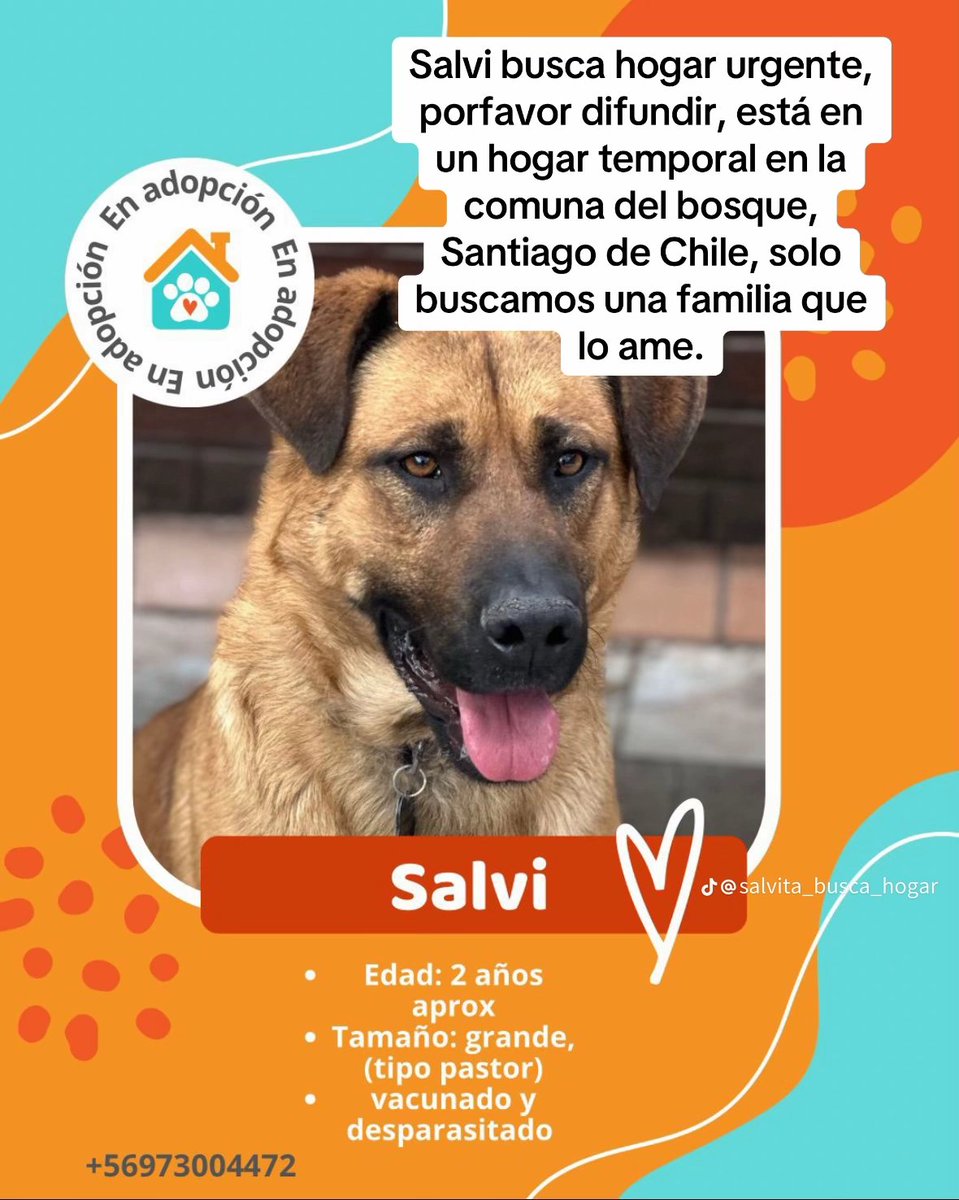 Felipe Andres VC tweet media