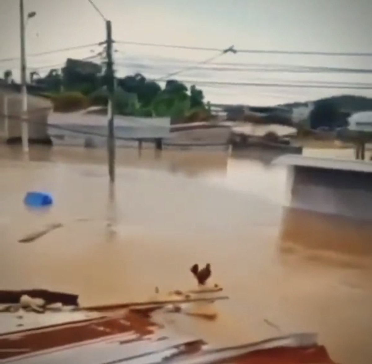 Boşuna Tıklama tweet media