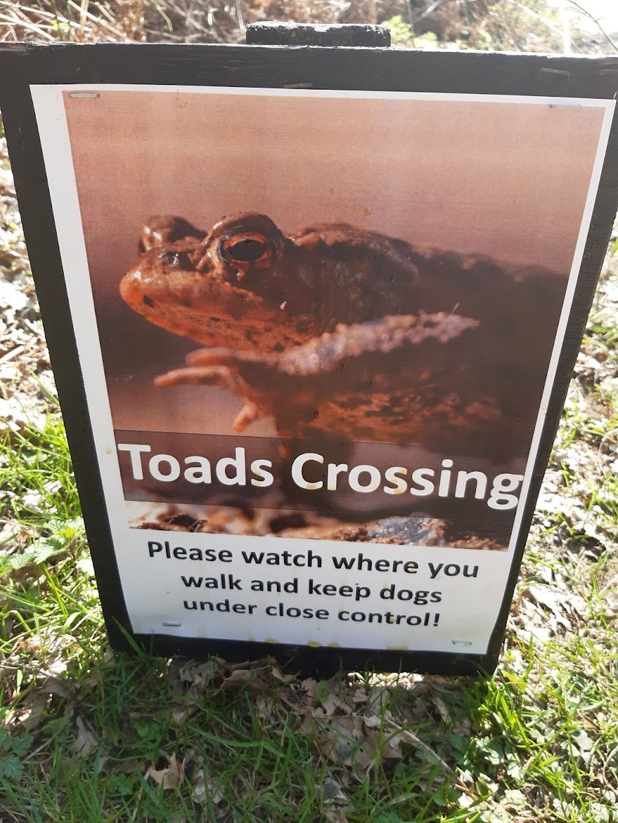 lingosia's tweet image. " All animals are equal but some animals are more equal than others."    @pmj_photos      #PMJWeeklyChallenge   #TuttingTypography