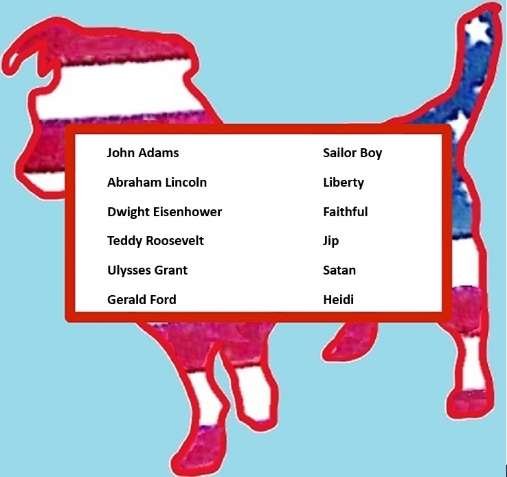 loyaltyofdogs's tweet photo. Happy #PresidentsDay! Can you correctly match the presidents and #dogs below? Reply with your pairings. If you're correct and can also ID the breed of #dog shown in the silhouette, you'll #win a $5 coupon to our LoyaltyOfDogs Etsy shop! #POTUS #quiz #game
https://t.co/VubGgIyGUa https://t.co/f0jWRJQpya
