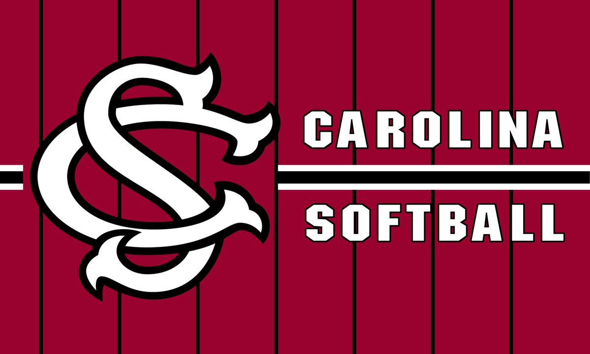 New Softball Flag Concept