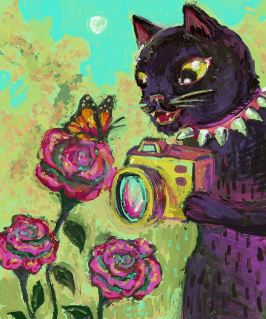 Guilherme Nunes tweet media