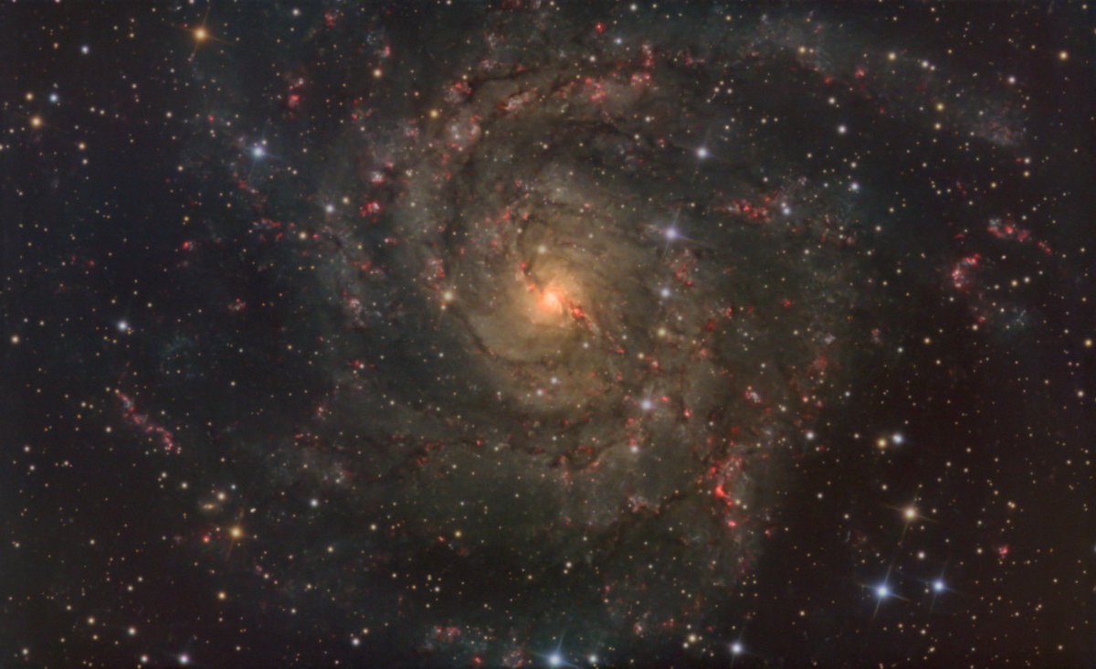 Mark Hellaby tweet media