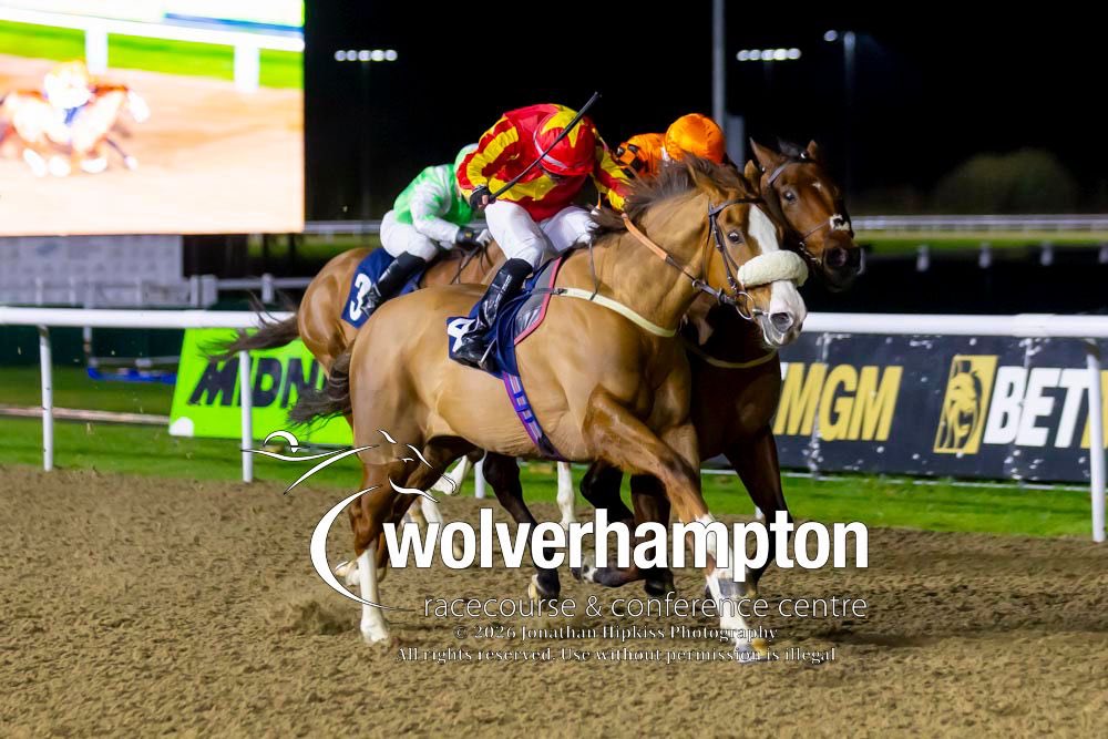 byerleystuduk's tweet photo. 🥇 Winning weekends!

🌀 𝗖𝗶𝘁𝘆 𝗖𝘆𝗰𝗹𝗼𝗻𝗲 makes it 2️⃣ on the bounce as he added a 6️⃣th career win to his name @WolvesRaces over the weekend.

Horses for courses… 5 out of 6 of his wins have come at this track!

🎓 ConGRADulations to all involved! https://t.co/BDKhMIdQwZ