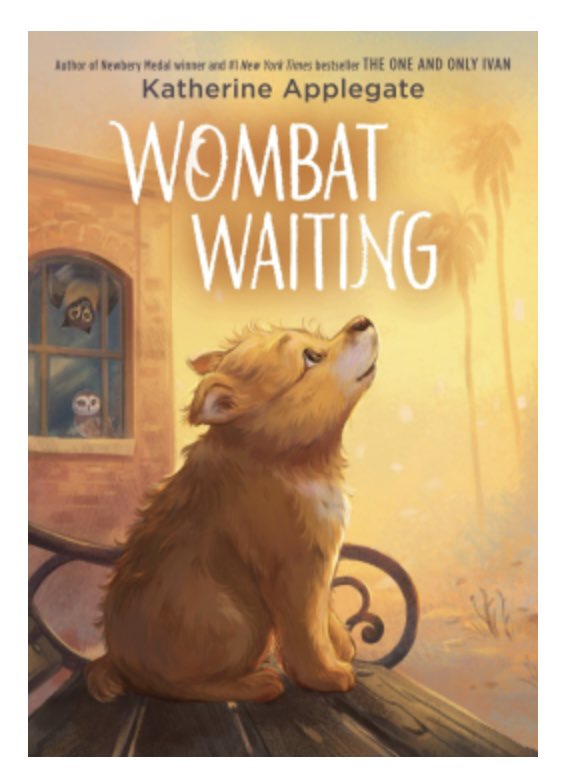 kbport714's tweet photo. Just finished the eARC of Wombat Waiting #katherineapplegate and you will absolutely love this! It’s out May 5. @HarperCollinsCh https://t.co/yIz63jCiS4