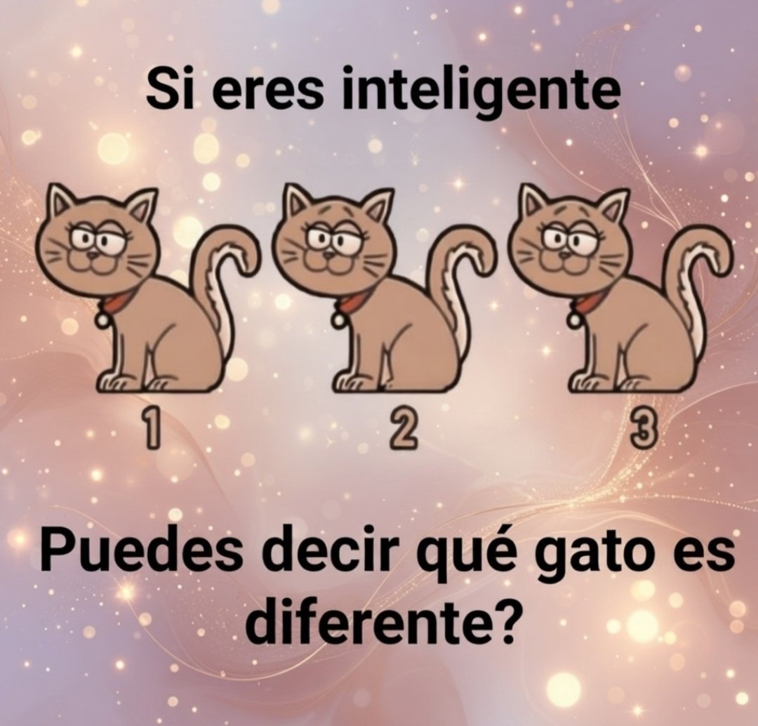 SolidKroket tweet media